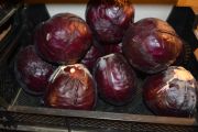 Rotkohl