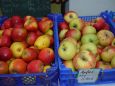 obst3