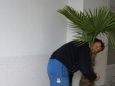 dienstleistung2