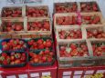 obst2